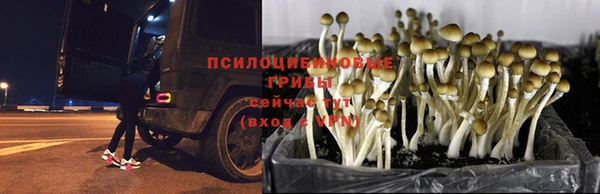 амф Алексеевка