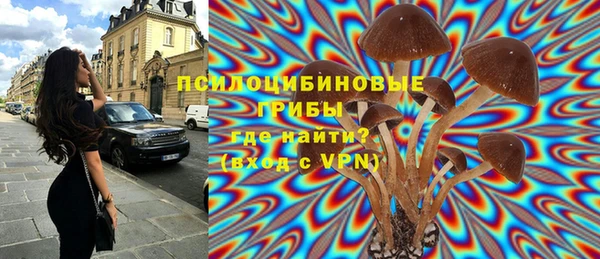 амф Алексеевка