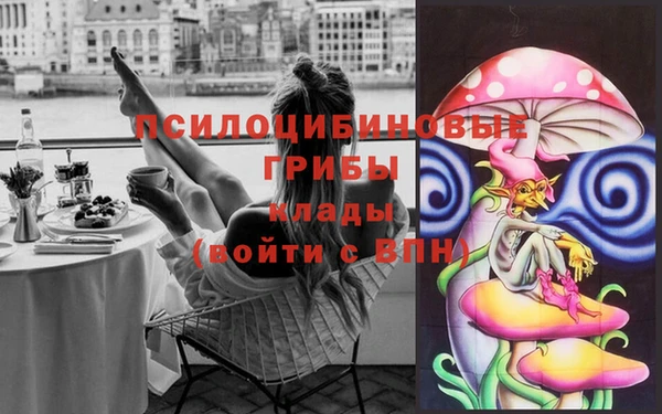 PSILOCYBIN Алексин