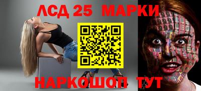 PSILOCYBIN Гатчина