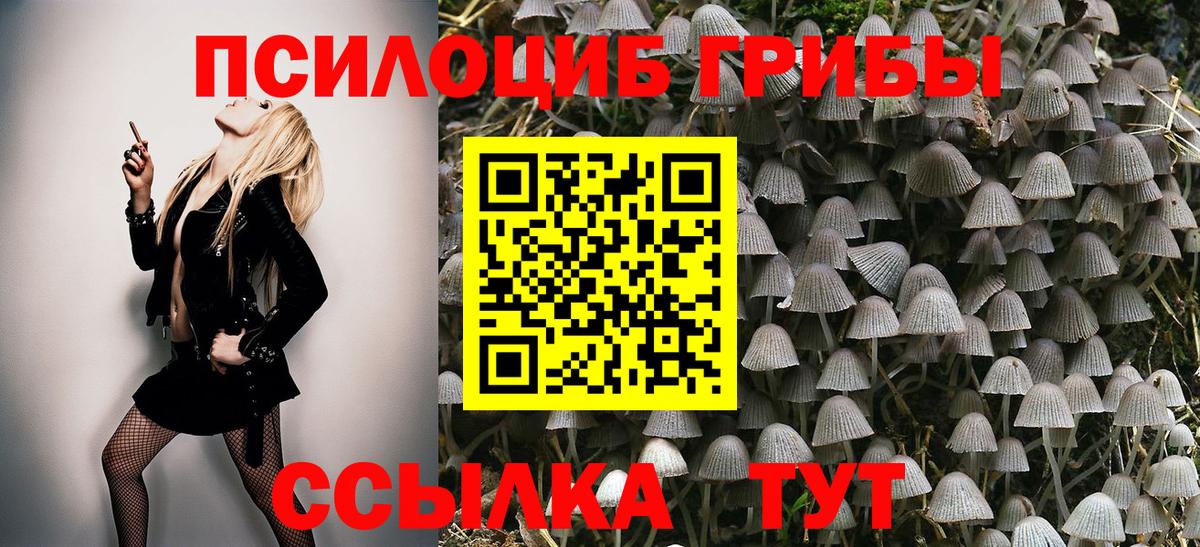 Галлюциногенные грибы Cubensis Муравленко