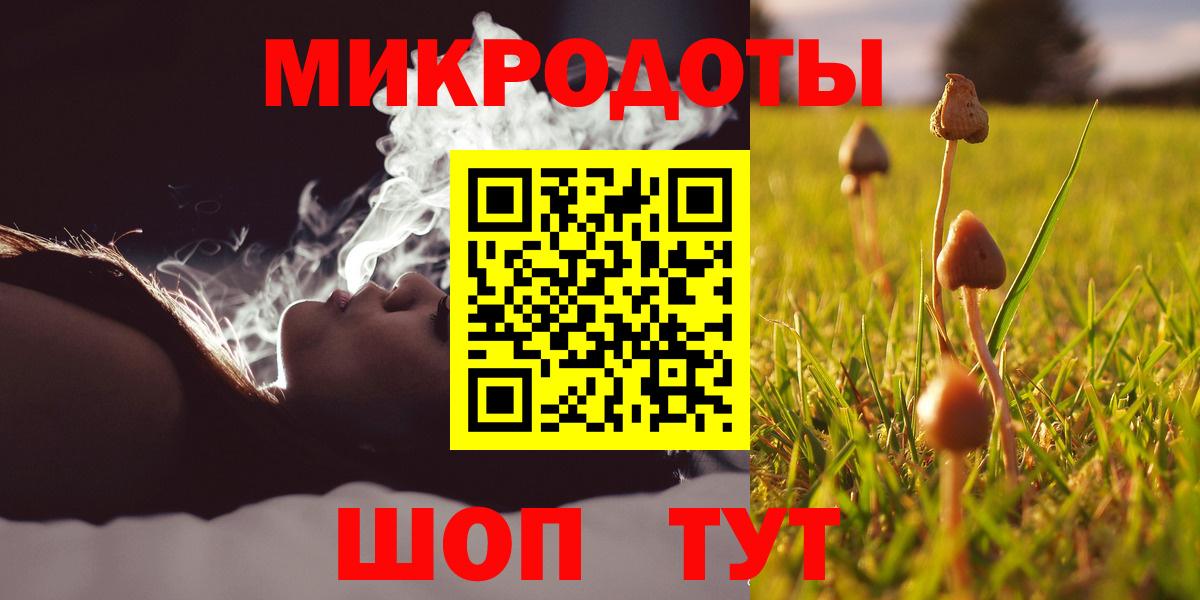 Псилоцибиновые грибы Psilocybe  Вход с VPN  Муравленко 