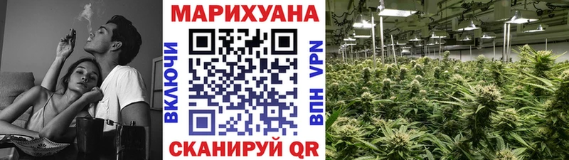 Шишки марихуана гибрид  сайты даркнета состав  Муравленко 